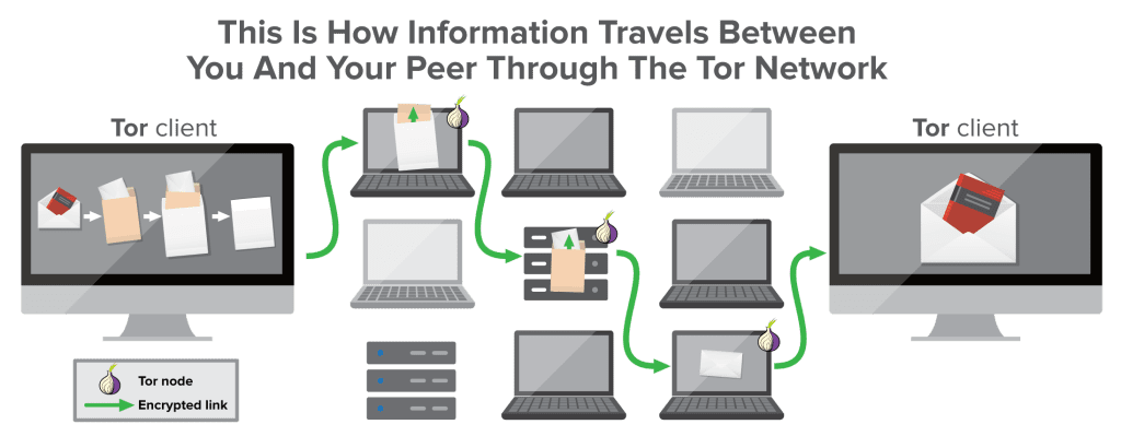 infographic: what is a tor network?